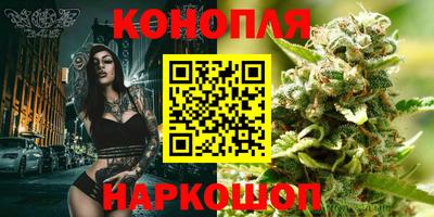 дживик Жуковский