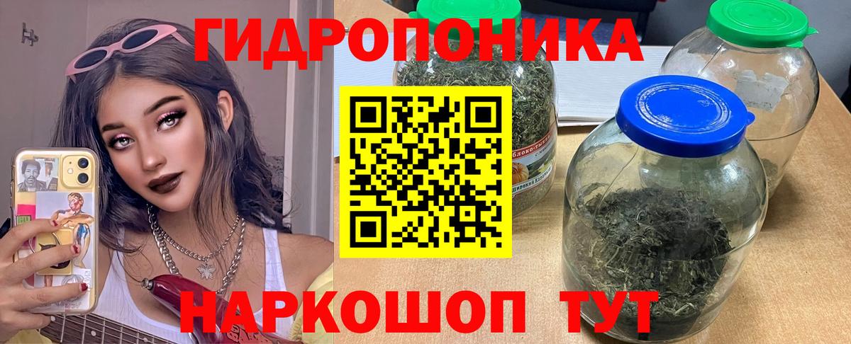 Шишки марихуана AK-47  Канабис VHQ  Вход с VPN  Конопля AK-47  Минеральные Воды  Марихуана Bruce Banner 